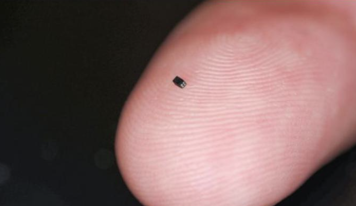 smallest thing in the world